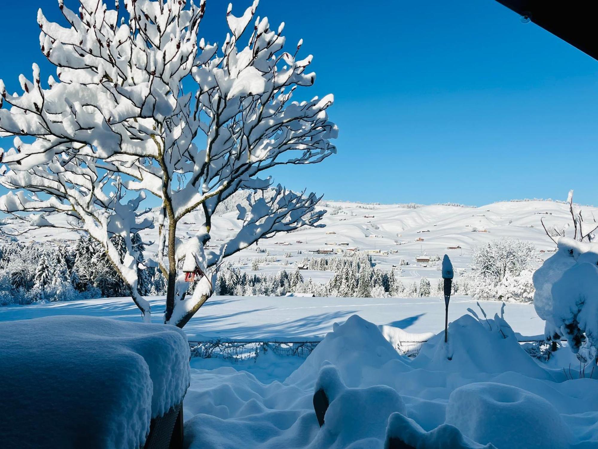 - Kleines Paradies - * Appenzell